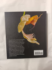 The Orchid: Intimate Portraits of a Fascinating Flower