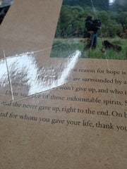 Letters from the Mist: Dian Fossey-"No One Loved Gorillas More"