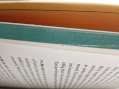 The Flavour Thesaurus: More Flavours: Plant-led Pairings, Recipes and Ideas for Cooks