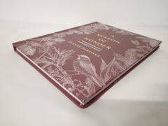 A Season of Wonder: Poems, Reflections and Stories for Cherishing Christmas