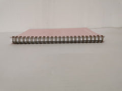 The English Plan, 90 day Study Planner by English with Lucy (Red Edition)