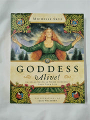 Goddess Alive: Inviting Celtic and Norse Goddesses into Your Life by Michelle Skye - used book at Perkology Books