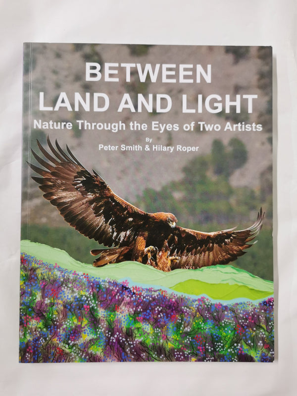 Between Land and Light Nature Through the Eyes of Two Artists by Hilary Roper - used book at Perkology Books