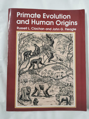 Primate Evolution and Human Origins (Foundations of Human Behavior)