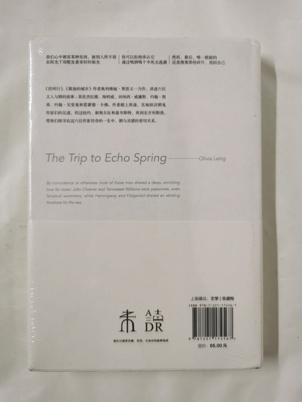 回声泉之旅 沿六位文豪足迹菲茨杰拉德、海明威、约翰·契弗、田纳西·威廉斯、雷蒙德·卡佛、约翰·贝里曼