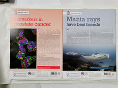 Biological Sciences Review Sep/Nov 2022 Vol 35