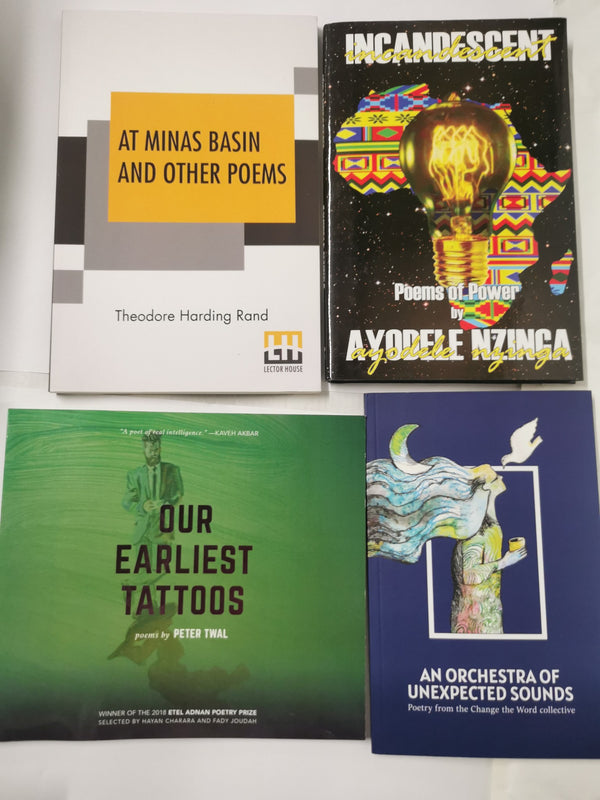 20 Poetry Book Bundle -Mixed Authors. Mixed Titles