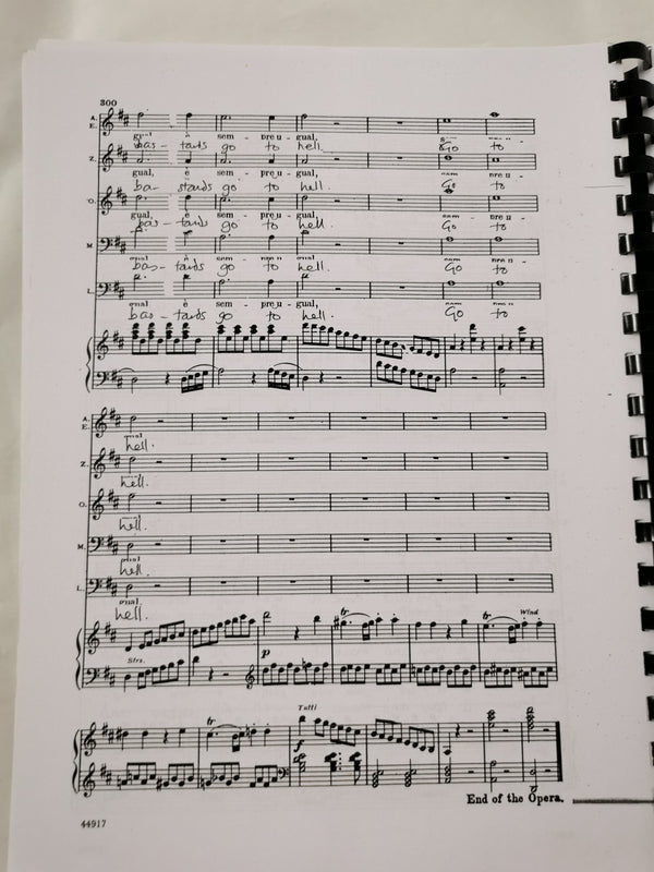 Don Giovanni: Vocal Score by WA Mozart translated by Jeff Clarke