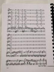Don Giovanni: Vocal Score by WA Mozart translated by Jeff Clarke