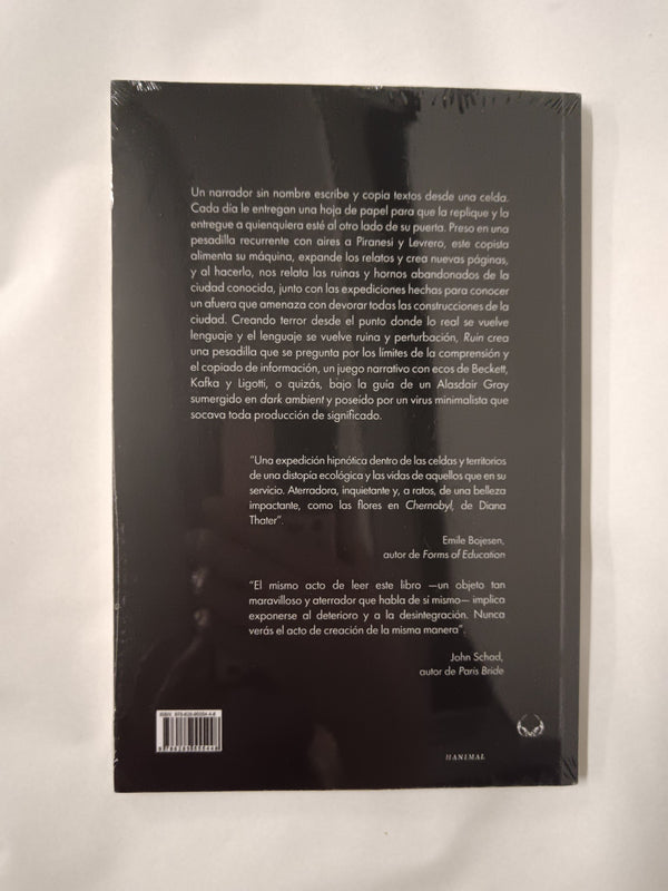 Ruin, Ansgar Allen (Espanol / Spanish Edition)