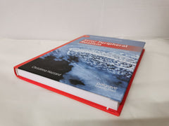 Semi-Peripheral Realism: Nation and Form on the Borders of Europe by Christinna Hazzard - used book at Perkology Books