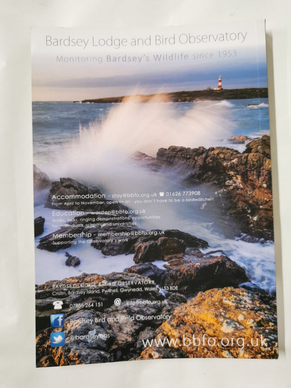 Bardsey's Wildlife 2017 - Bardsey Bird Observatory Report