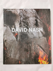 David Nash Wood, Metal, Pigment Annely Juda Fine Art