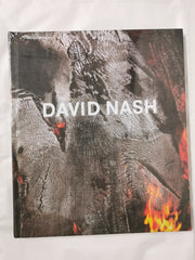 David Nash Wood, Metal, Pigment Annely Juda Fine Art