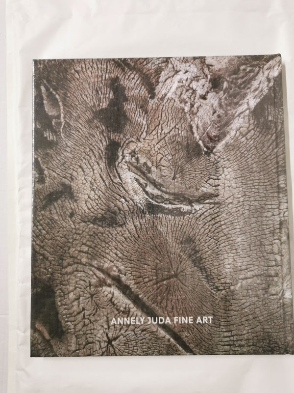David Nash Wood, Metal, Pigment Annely Juda Fine Art