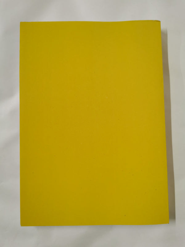 Colored Television: Longlisted for the Carnegie Medal 2025