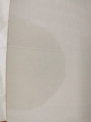 Plane Euclidean Geometry: Theory and Problems