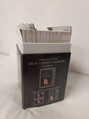 Netter's Anatomy Flash Cards by John T. Hansen (Netter Basic Science Series)