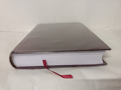 Riyazul Quran (Word to Word Translation in Hindi Script)