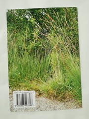 Start to Identify Grasses: New expanded edition