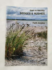 Start to Identify Sedges & Rushes
