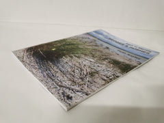 Start to Identify Sedges & Rushes