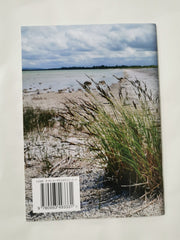 Start to Identify Sedges & Rushes