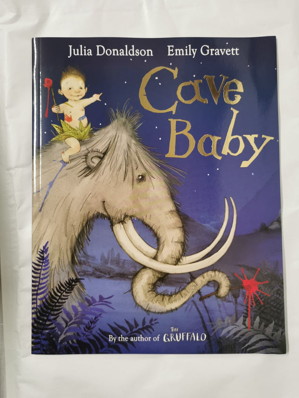 Julia Donaldson X10 Books Collection Set with Bag