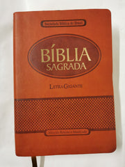 Biblia Segrada Letra Gigante Com Notas E Referencias-FL