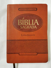 Biblia Segrada Letra Gigante Com Notas E Referencias-FL