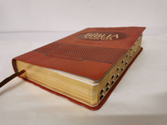 Biblia Segrada Letra Gigante Com Notas E Referencias-FL