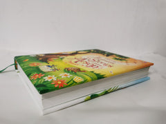 Illustrated Stories from Aesop