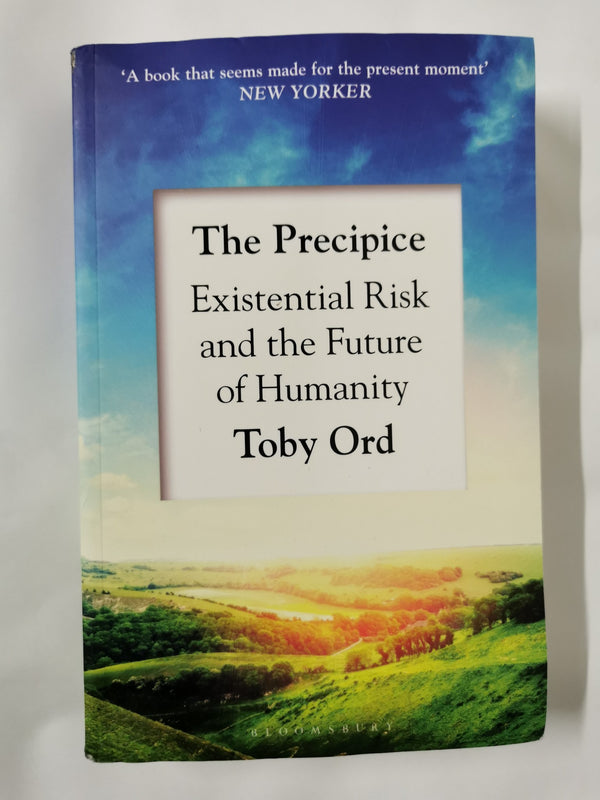 The Precipice: ‘A book that seems made for the present moment’ New Yorker