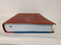 The Bible Recap Deluxe Edition: A One-Year Guide to Reading the Entire Bible