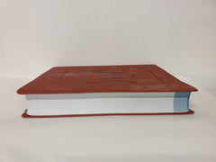 The Bible Recap Deluxe Edition: A One-Year Guide to Reading the Entire Bible