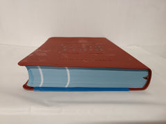 The Bible Recap Deluxe Edition: A One-Year Guide to Reading the Entire Bible
