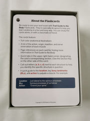 Trail Guide to the Body Flashcards Volume 2: Muscles