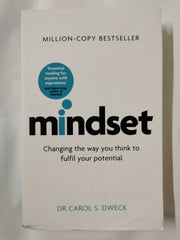 Mindset: How You Can Fulfil Your Potential