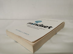 Mindset: How You Can Fulfil Your Potential