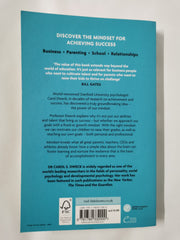 Mindset: How You Can Fulfil Your Potential