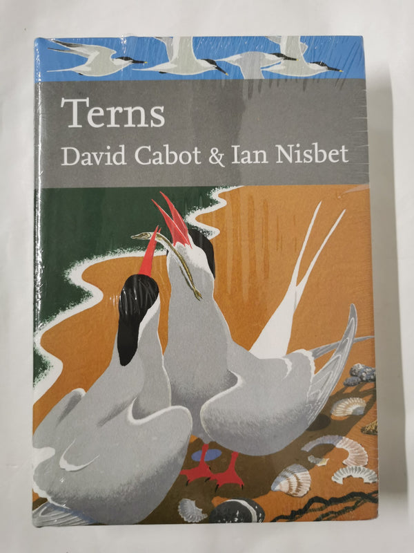 Terns: Book 123 (Collins New Naturalist Library)