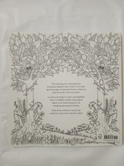 Enchanted Forest: An Inky Quest & Colouring Book: 1