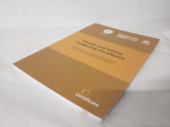 Health and Safety Leadership Excellence