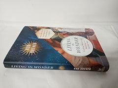 Living in Wonder: Finding Mystery and Meaning in a Secular Age