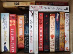 6 NEW Women's Interest Fiction Book Bundle, Thriller, Mystery, Romance