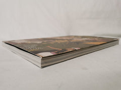 Indian Paintings from the Ludwig Habighorst Collection by Francesca Galloway