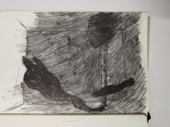 Jannis Kounellis - La Stanza Vede. Elements for drawing 1970-1990