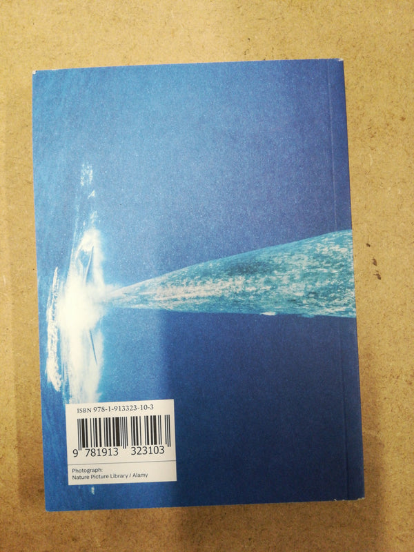 Tortoise Quarterly #6 The Blue Whale