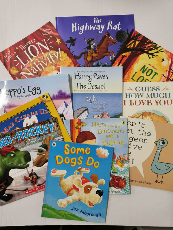 Young Children's Fiction Picture Books Large Collection of 11 Pre Loved Books