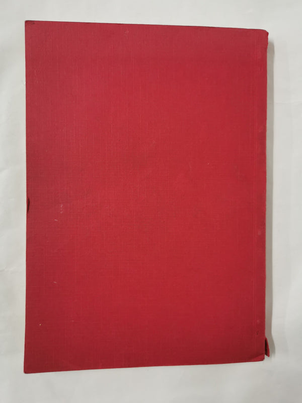 The Afghan Hound Year Book 1982
